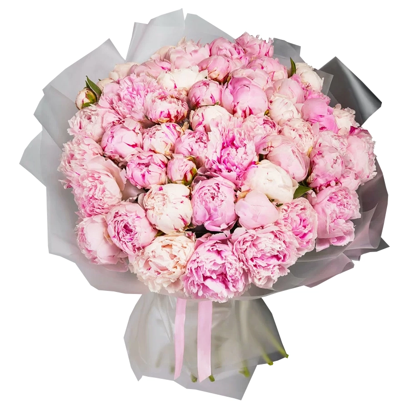 Букет из 51 розового пиона