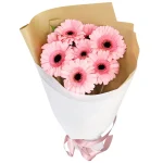 Букет из 7 гербер розового цвета